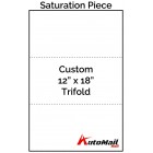 Custom 12" x 18" Trifold Saturation Piece