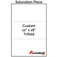 Custom 12" x 18" Trifold Saturation Piece