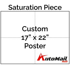 Custom 17" x 22" Poster Saturation Piece